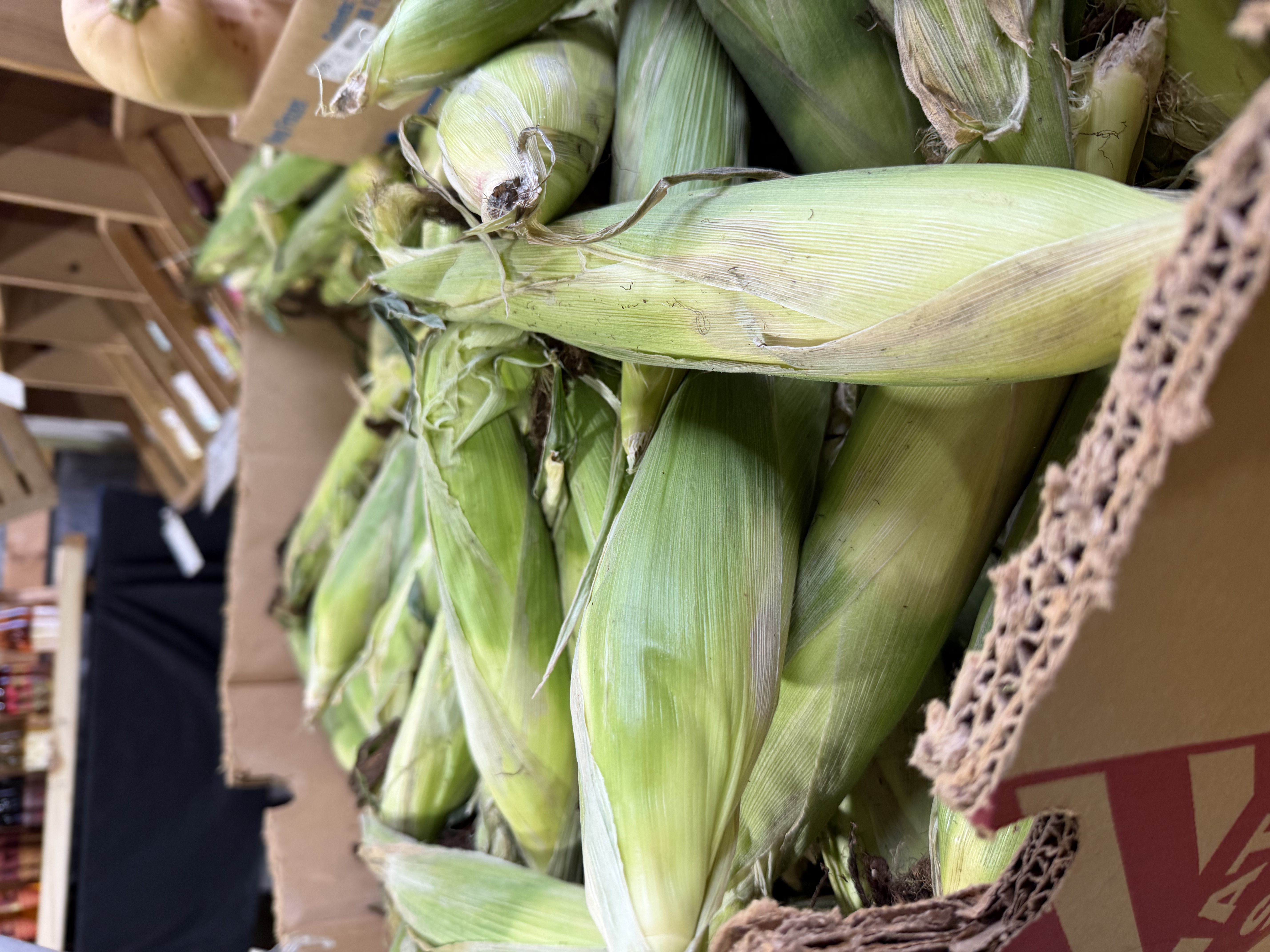 Sweet Corn Deal Extended!