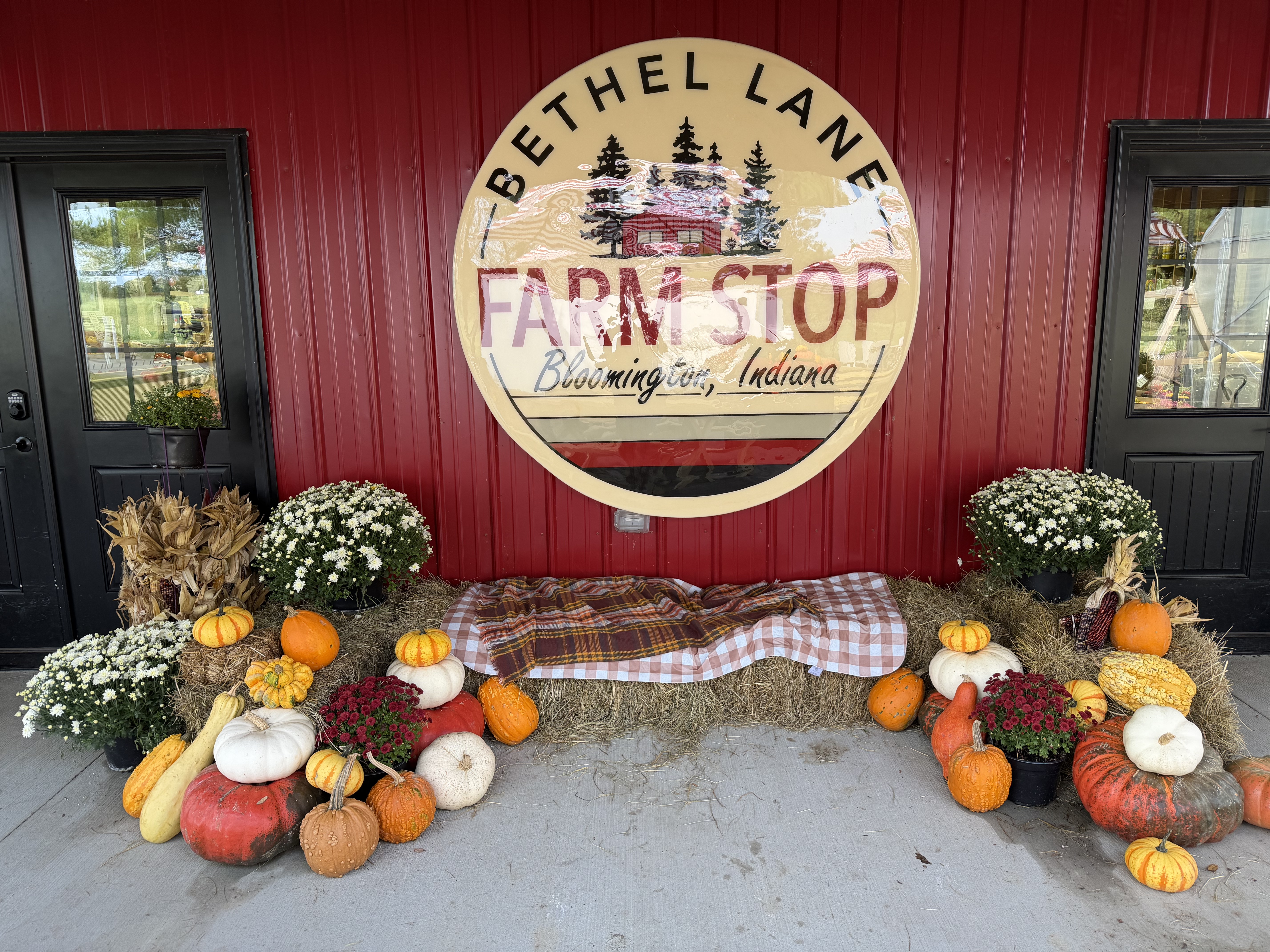 Pumpkins & Mums - Cider & Fall Apples
