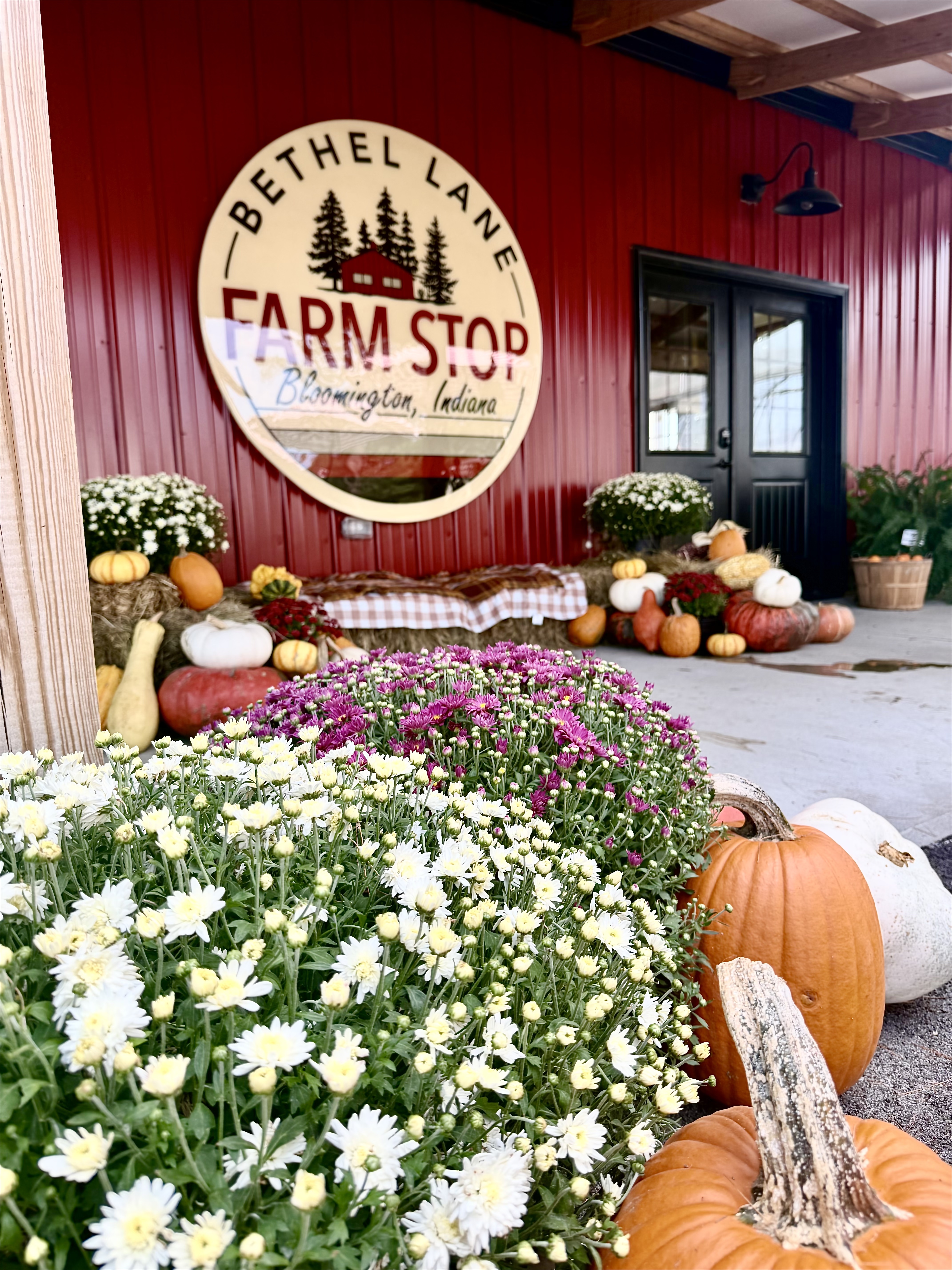 It may feel like July outside but fall is in full swing at Bethel Lane Farm Stop!