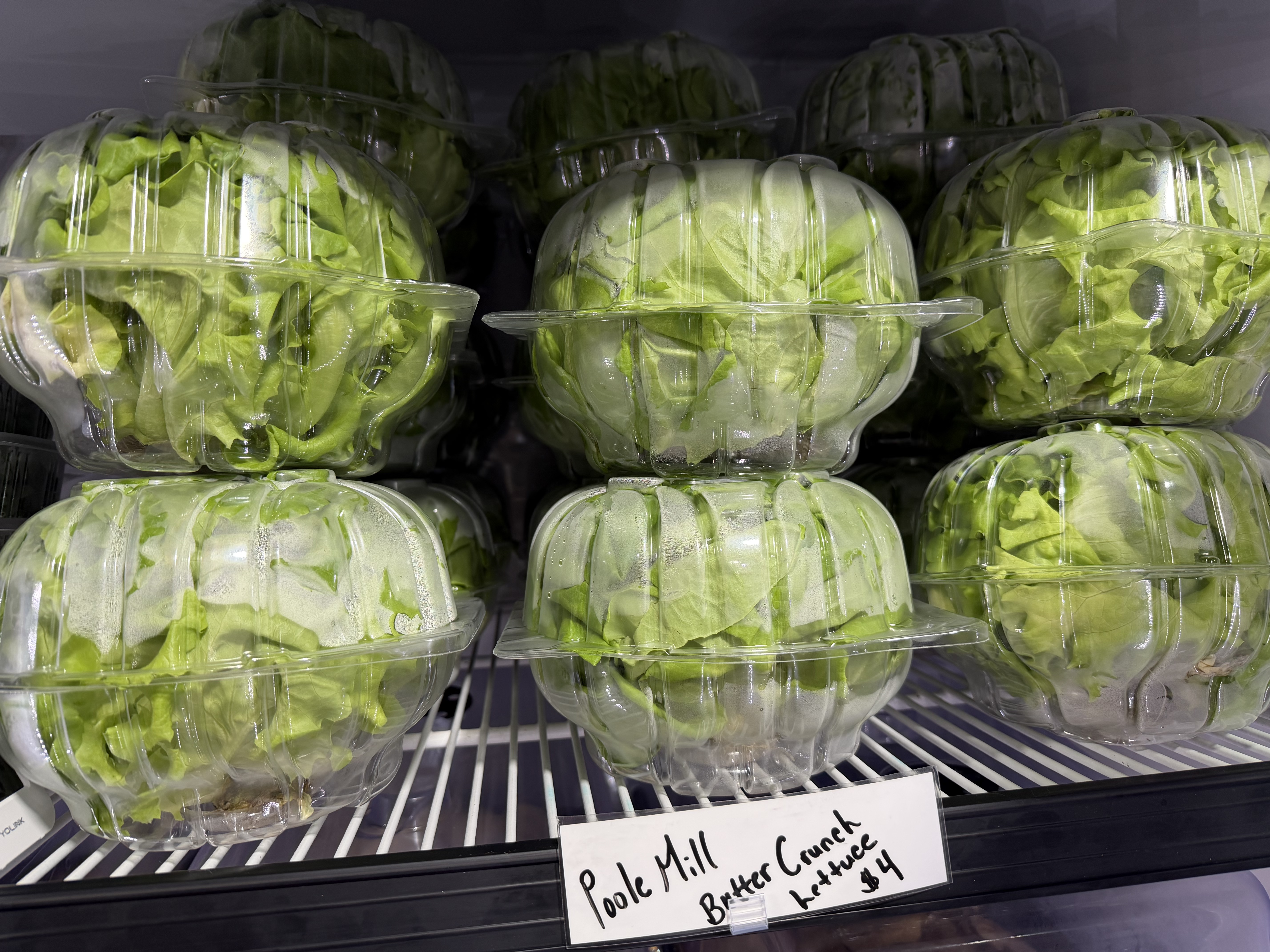 Poole Mill Lettuce is in the fridge!