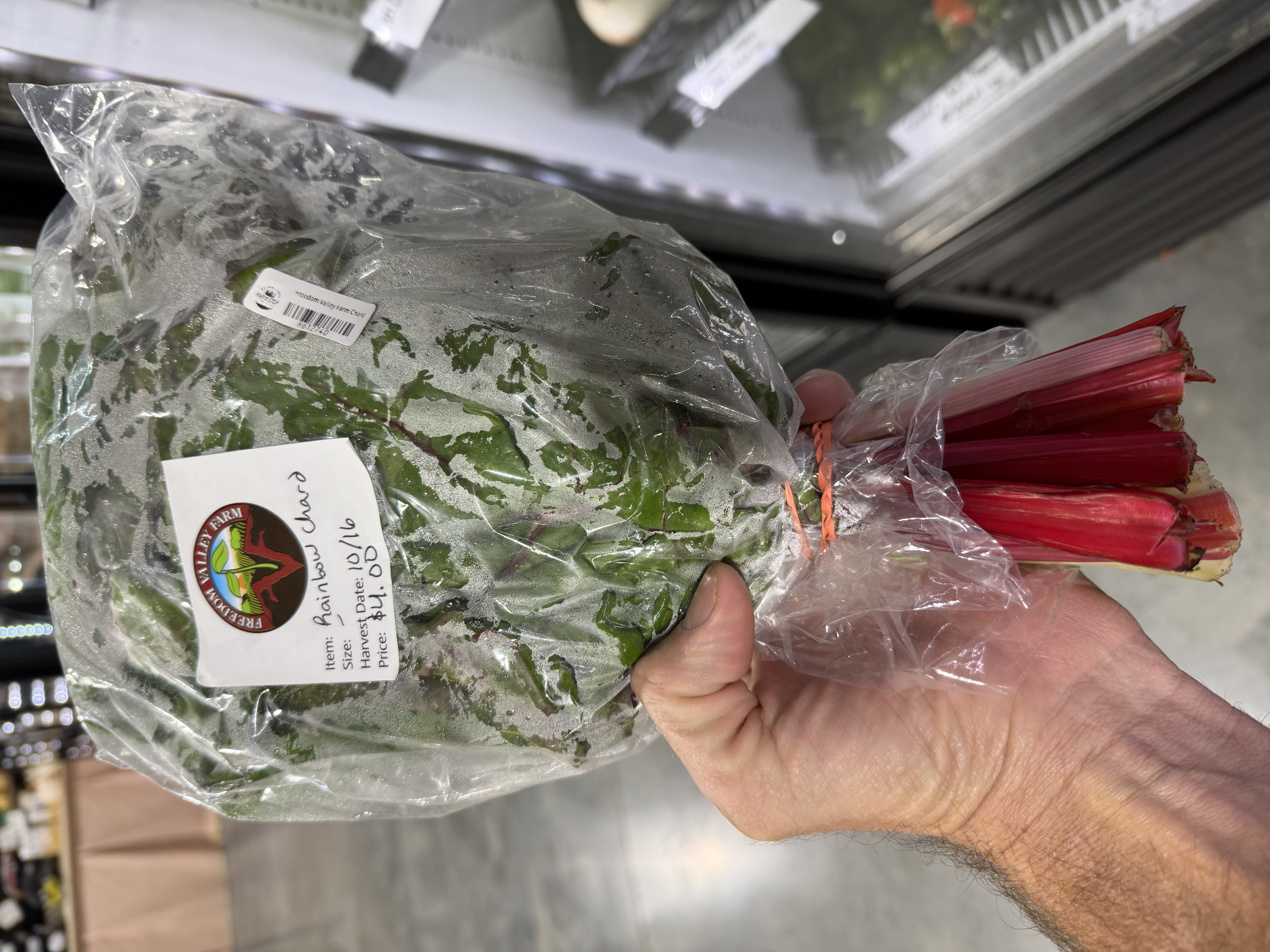 Rainbow chard, arugula, spring lettuce, spicy greens