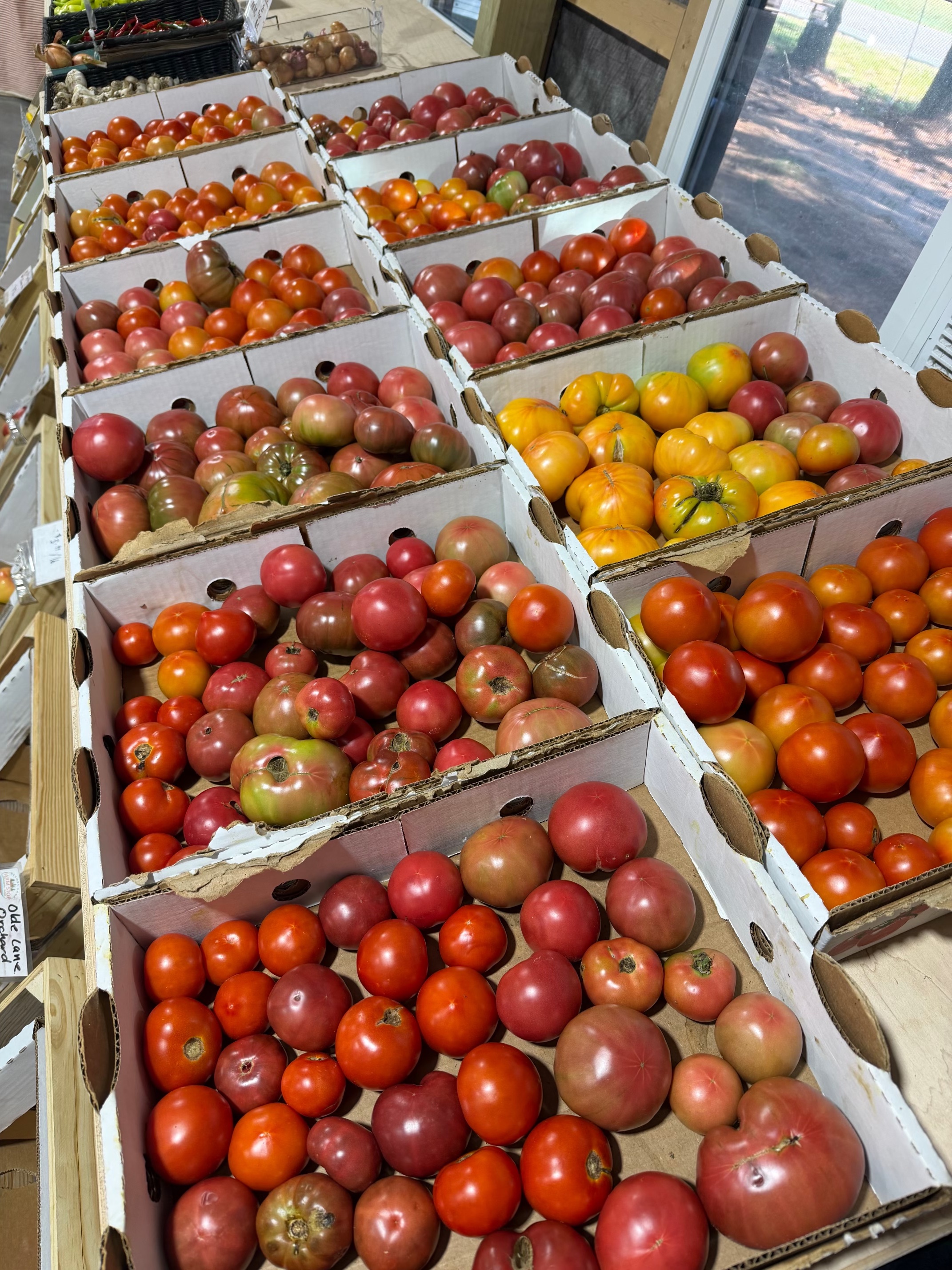 Tomato Season Isn't Over Yet!