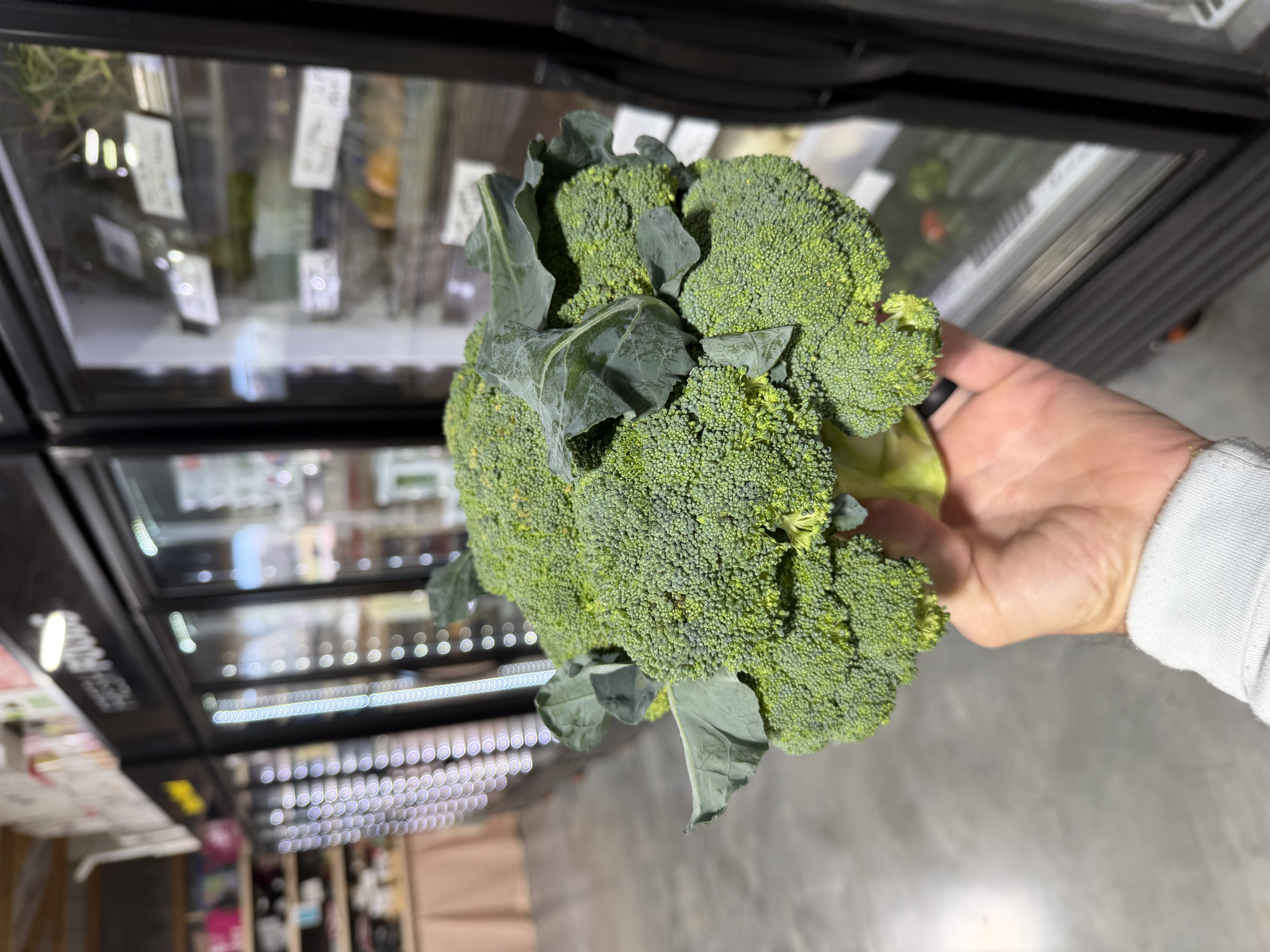 Broccoli - Olde Lane Orchard